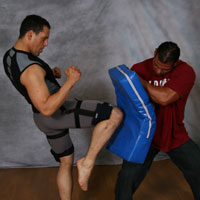 Martial Arts with the Power-Core Trainer